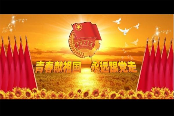 优雅的精灵